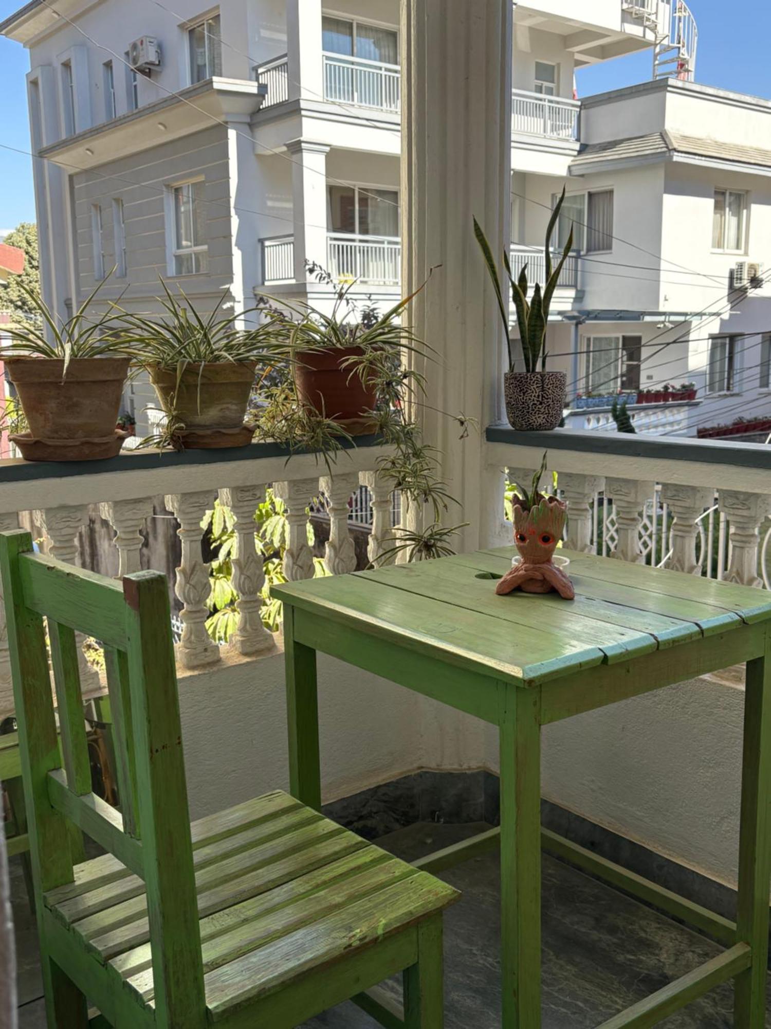 Drakon Nest Homestay Katmandou Extérieur photo