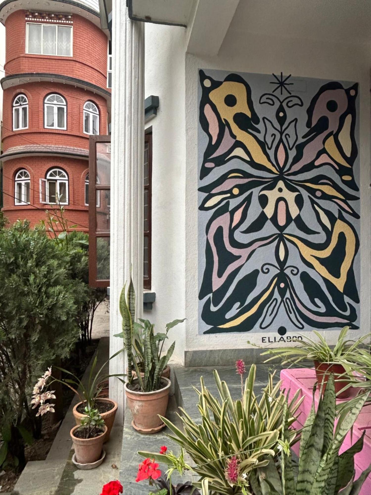 Drakon Nest Homestay Katmandou Extérieur photo
